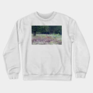 Buck in the Meadow - White tailed deer buck Crewneck Sweatshirt